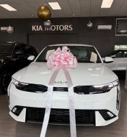 TCI Red Cross Launches Exciting ‘Win a Kia’ Fundraising Raffle