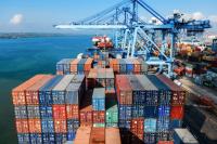 Russian exporters need to consider currency risks and logistics in Africa — Ministry of Agriculture