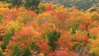 One of New Hampshire's busiest leaf-peeping weekends is here. Here's what to know