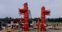 Thai, Japanese investors keen on Sarawak petrochemical production