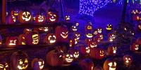I'm a Massachusetts native. Skip Salem and check out this less-crowded neighboring city for Halloween fun.