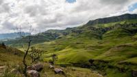 New EWT tool aims to ease growing battle for South Africa’s land