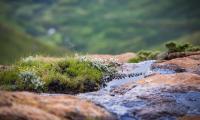 South Africa gets new Grasslands National Park in Eastern Cape