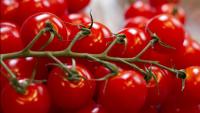 Gardening Tips: Tomatoes to Chillies, Red-Coloured Vegetables and Their Benefits