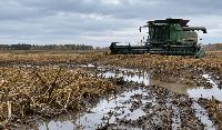 Manitoba Farmers Face Worst Harvest in More Than a Decade After Extreme Rainfall