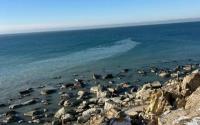 Kazakhstan suggests building pool of international projects on Caspian Sea preservation