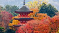10 Common Tourist Complaints About Visiting Japan