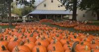 Guide to pumpkin patches in the southwest Ohio region