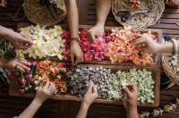 HTA invites local businesses and community organizations to learn how to reach Hawaiʻi’s visitors