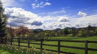 Live-in job opportunity in Perthshire pays 50k a year and comes with house and car