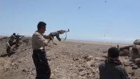 Yemen says advancing against Houthis around key Bab al-Mandab strait