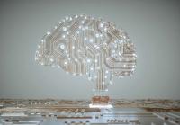 The unexpected ways that AI is reshaping the U.S. economy