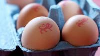 UK households told to 'dispose' of eggs from European country as salmonella identified