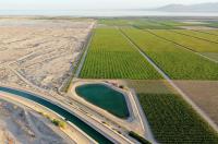 11,500 Acre-Feet of Colorado River Water Rights Could Be Monetized. Social Security Can Treat the Water, Land and Farm Income Three Different Ways