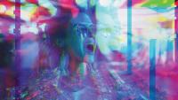 Understanding the tribe: Safeheart org. helps Nova survivors recover using psychedelic treatment