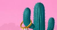 Where America’s marriages are thriving — and not thriving