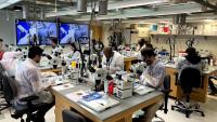 🔒 Roux Institute’s future Portland campus selected as site for life sciences lab