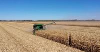 This Week in Agribusiness, October 10, 2026