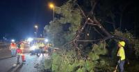 Two deceased individuals confirmed in Florida following the passage of Hurricane Isaias