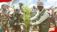 William Ruto launches cocoa farming in Kenya, announces plan to distribute seedlings