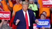Trump slams Norway after losing Nobel Peace Prize to Navi Pillay