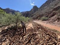 Grand Canyon tourism slumps after 2025 fire as businesses wait for Congress to speed rebuilding