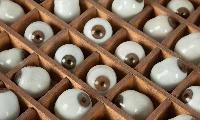 Online Auctions Put a Price on Strange