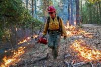 Forest service plans controlled burns on 726 acres in Monongahela National Forest