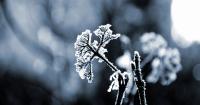 Parts Of The UK Could Face A Winter-Long Drought, Hydrologist Warns