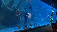 Beyond the Headlines explores shipwrecks, wildlife along North Carolina coast