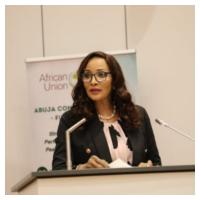 Nigeria calls for total overhaul of AU security framework to tackle terrorism