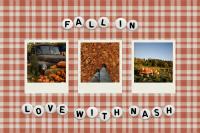 Fall beyond campus: A student’s guide to fall in Nashville