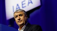 Iran Nuclear Chief Raps IAEA for Bowing to US, Israeli Pressure
