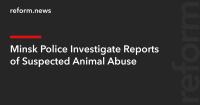 Minsk Police Investigate Reports of Suspected Animal Abuse