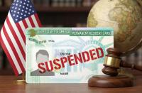 Green Card processing suspended for major tech companies: What are H-1B workers options?