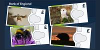 Bank of England removes Churchill, historical figures from banknotes replaces them with animals