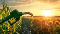 Smith, Budzinski Lead Letter Urging the Admin to Support America’s Biofuel Industry