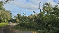 Escambia County gives storm damage guidance for homeowners; Crews work to clear roads