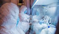 WHO confirms death at Russian research lab, says no plague case registered