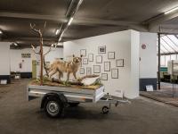 After Losing Two Fairs, Vienna’s Galleries Built One Together