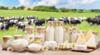 Full-Fat Milk, Cheese and Yogurt Gain New Scientific Support as U.S. Reverses Decades of Dietary Advice