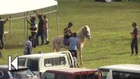 Sabeto Horse Racing looks to unlock sport’s potential in Fiji
