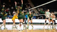 NDSU Volleyball Sweeps North Dakota, 3-0