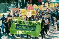 Mazingira Day 2026: Why protecting Nairobi’s forests matters to every resident