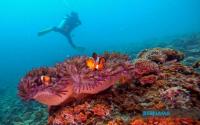 Budget 2027: MSDA Ready To Partner MOTAC In Strengthening Marine Tourism, Conservation