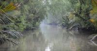 Air pollution detected in the Sundarbans