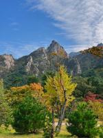 Autumn Korea is peak Korea