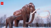 Using AI models, scientists are trying to do a Jurassic Park; bring back to Earth extinct Grey Wolf pups and Woolly mammoths