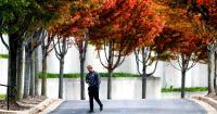 Color Shift: Weather, environmental factors impact Driftless autumns