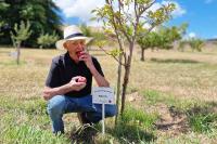 Wine, apples, and the art of ageing very well